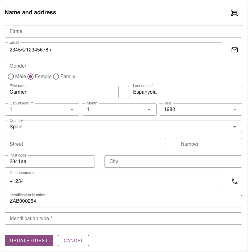 Example of inputs filled in the form